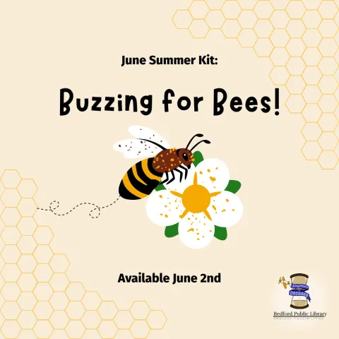 A bee sitting on a daisy with honeycomb patterns in the upper right-hand corner and lower left-hand corner
