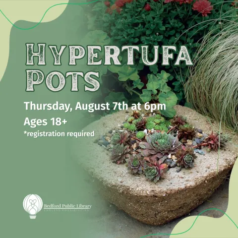 A hypertufa pot holding a variety of succulents 